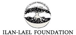 il_foundation_logo